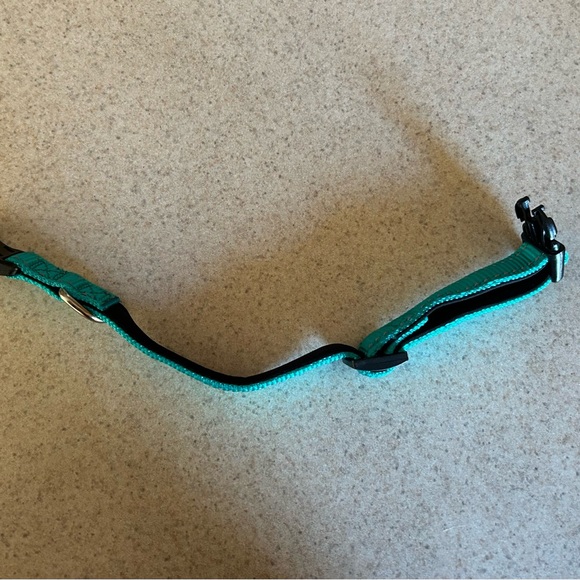 REFLECTIVE DOG COLLAR (NWT) - Picture 5 of 6
